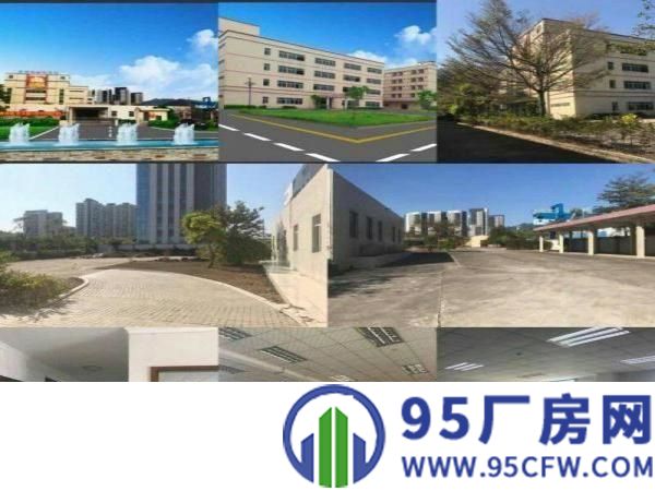 大亚湾西区新出花园式原房东独院红本厂房院子超大
