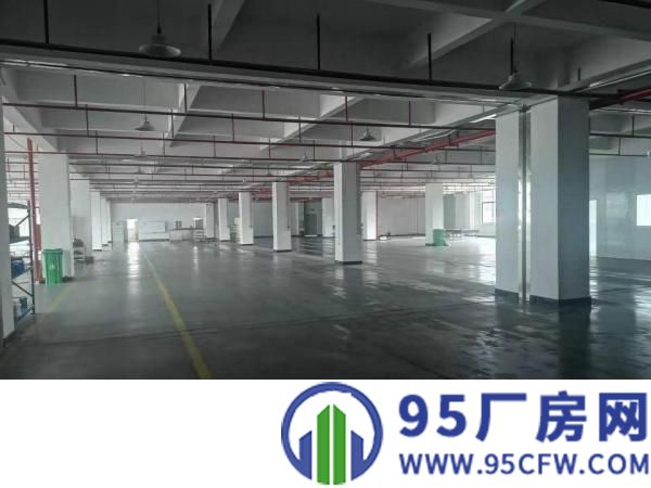三栋惠南科技园二楼3100平米全新装修