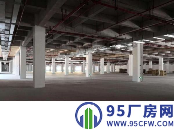 惠水口附近工业区独栋厂房19500平方出租