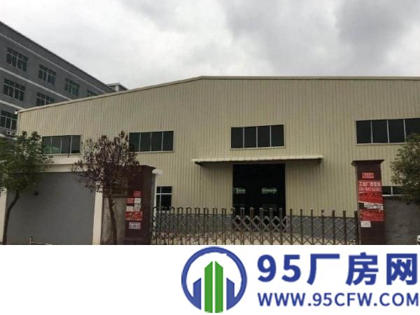 白石原房东新建10米高独栋钢构招租