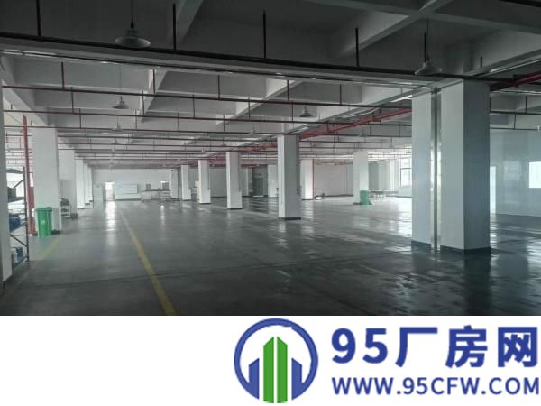 三栋数码园二楼3000平米带现成装修厂房出租
