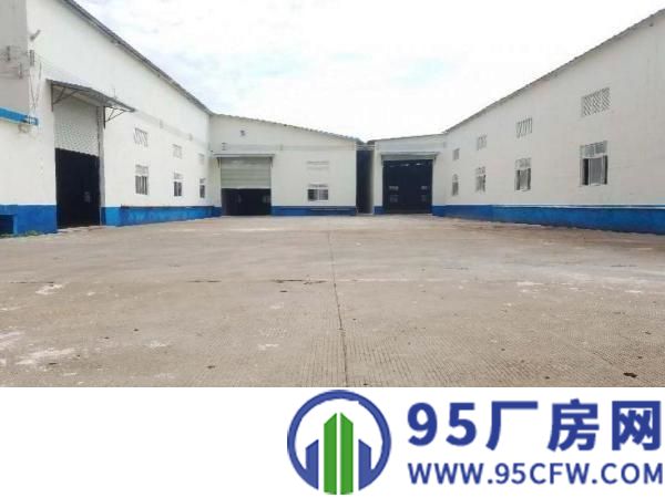 园洲独门独院单一层厂房。高8米，电315，周边无居民