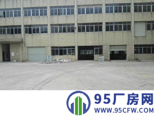 出租惠阳新墟标准一楼5.3米高550平方厂房