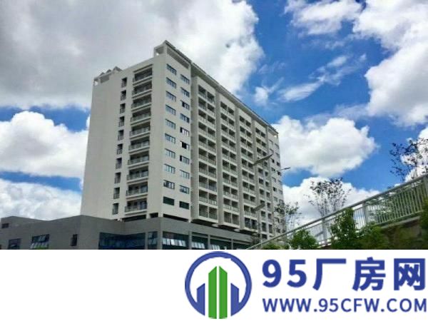 新出红本大厦招租，可做公司部、酒店、医院、学校