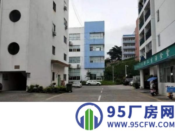 沙荷路招租实际面积厂房480平方，无公摊，精装修