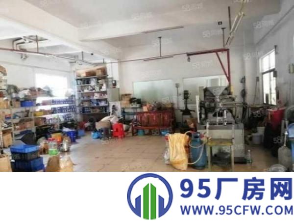 公明红星社区出租厂房一楼500平水电齐全