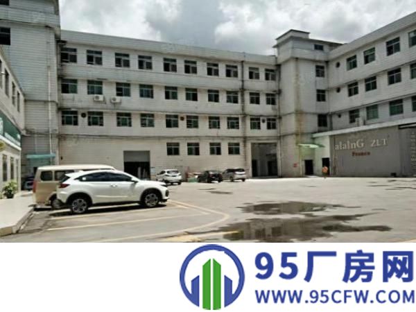 横岗街道办龙岗大道边原房东500平方出租