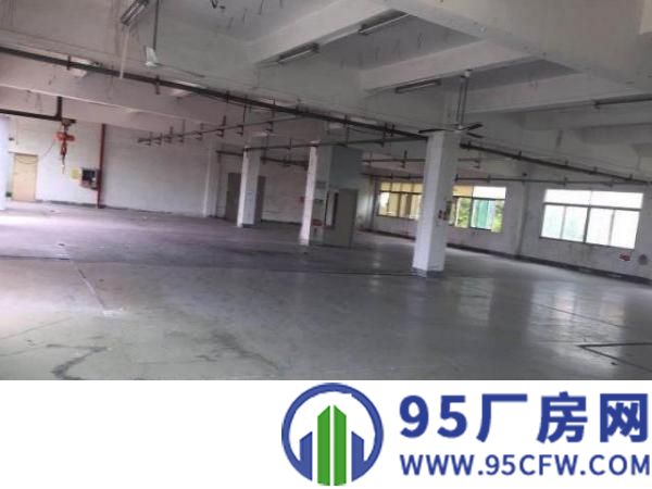 出租龙华区观澜盈丰路1
