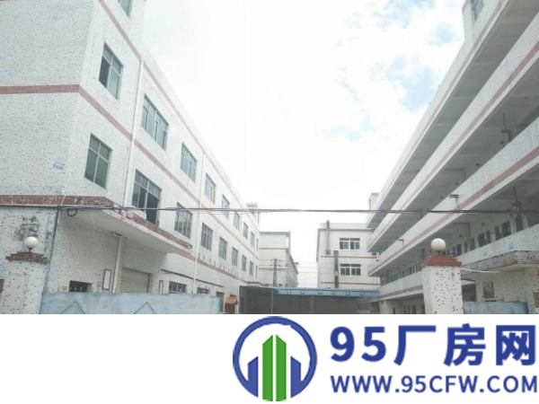 龙岗区横岗新出3600平原房东独院标准厂房出租
