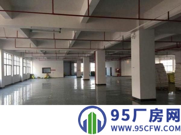 公明蒋石（楼上2440平带装修，九成新，可分租）
