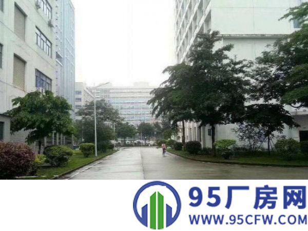 坪山工业园一楼800（7米高）平重工业厂房招租可分可整