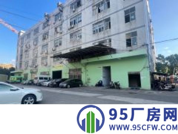 现成冷库！红棉路边一楼2300平有牛腿空地大适合仓储物流配送