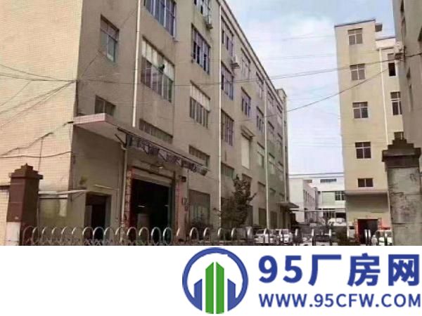 坪山附近新出一楼810平方招租整租带装修消防喷淋