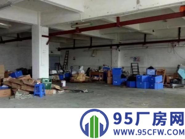 松岗碧头楼上500㎡招租，现成行车，有办公室，水电到位。