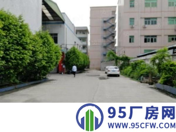 （原房东）公明西田街道新出一楼1650平米带装修厂房出租