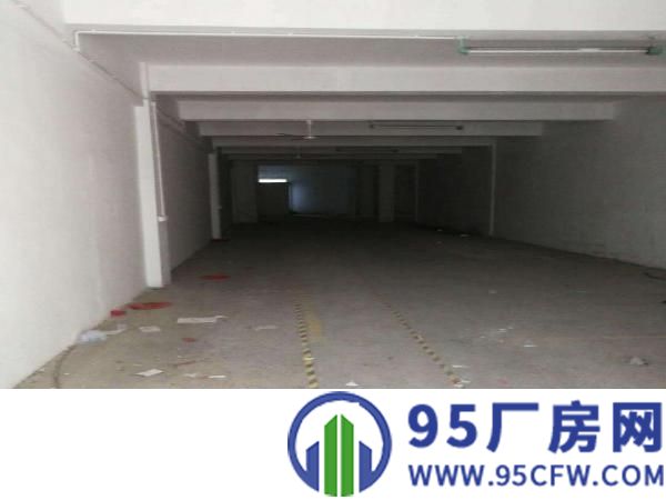 出租龙岗区300平500平800平简装厂房