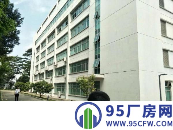龙岗宝龙新出楼上2100平带装修厂房出租