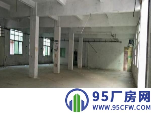 坪山比亚迪附近大型独院550平起租