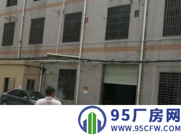 独栋厂房四层每层伍百平方可分租