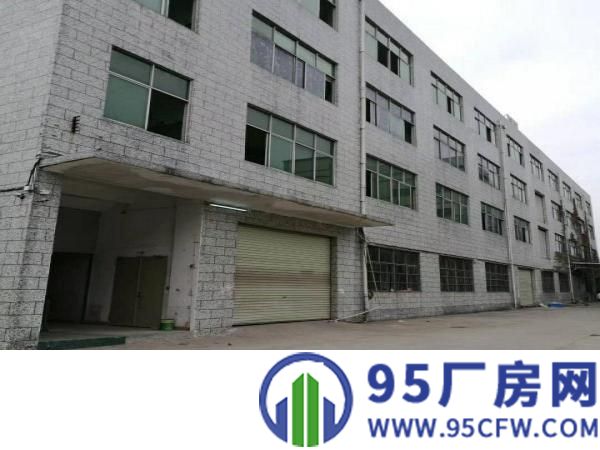 龙岗龙东2300出租