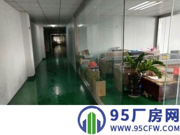 观澜福民新出一楼1000平面积实在原房东