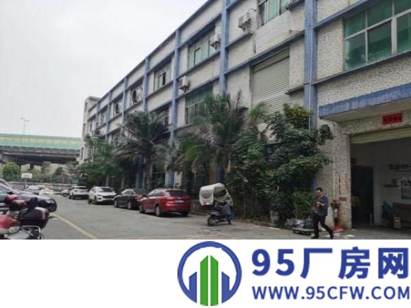 公明李松朗一楼单层面积1680，高度5米带办公室精装修。