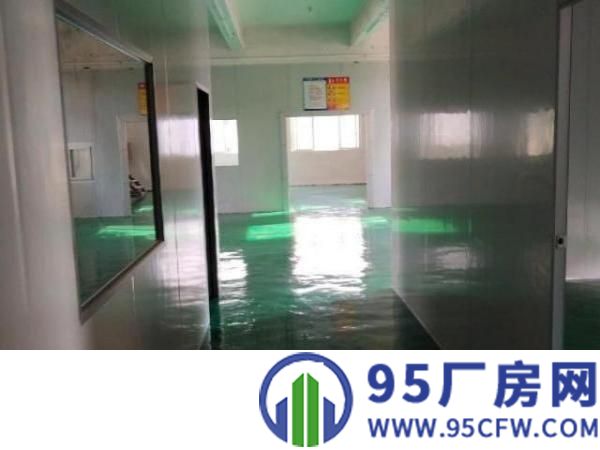 石岩汽车站附近新装修厂房及办公室200－60租