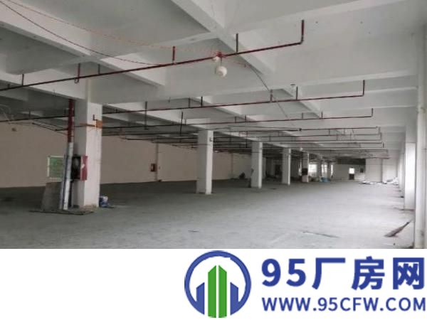 标准楼层高新产业园双3吨电梯厂房