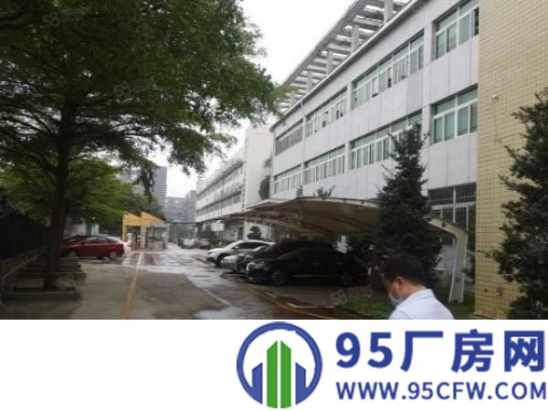 观澜新田主干道旁新出精装修2200平厂房出租无需转让费