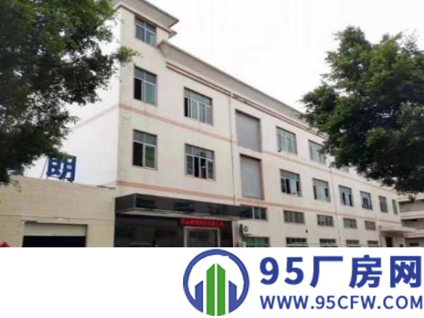 公明观光路新出楼上1000平方带装修厂房出租