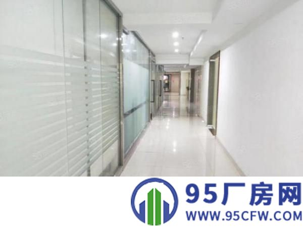 龙华大浪布龙路周边附近252平办公出租，精装修，拎包入驻