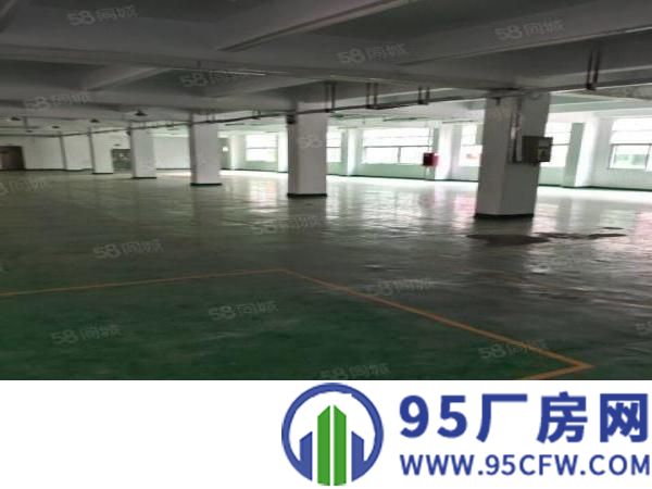 平湖富民工业区2楼整层1800平方出租干净整洁