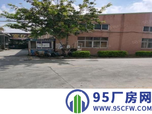 观澜章阁新出原房东单一层钢构2100平出租