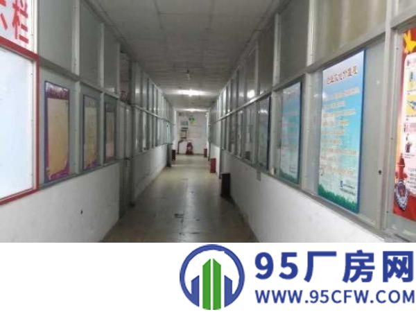 出租布吉街宝丽路104号桑达宝电工业园7号厂房南座5楼
