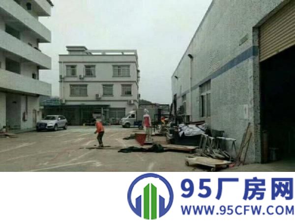 清溪三中5000平方原房东单一层独院出租