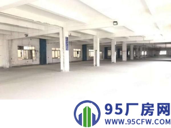 清溪新出一层2600平厂房，为长条形，适合各个非重污染行业