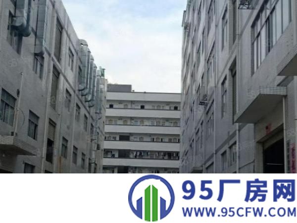 凤岗镇竹塘村新厂房空出五楼700平米带简单装修办公室业主直租