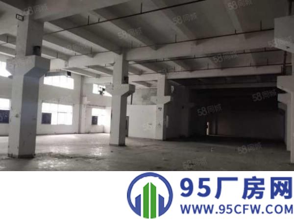 凤岗黄洞原房东一楼700平方带牛角6米高厂房出租