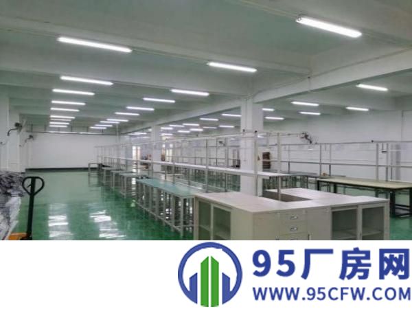 现成精装车间流水线，电子产品的不二选择，即租即用