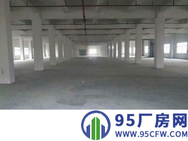 南栅原房东标准电梯厂房1100平方，配3吨电梯