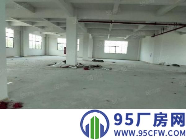 虎门白沙超低价一楼610平方厂房招租17块，适用于仓库！