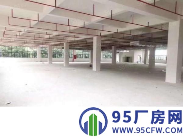 出租|厚街标准厂房1200平超大空地这件齐全