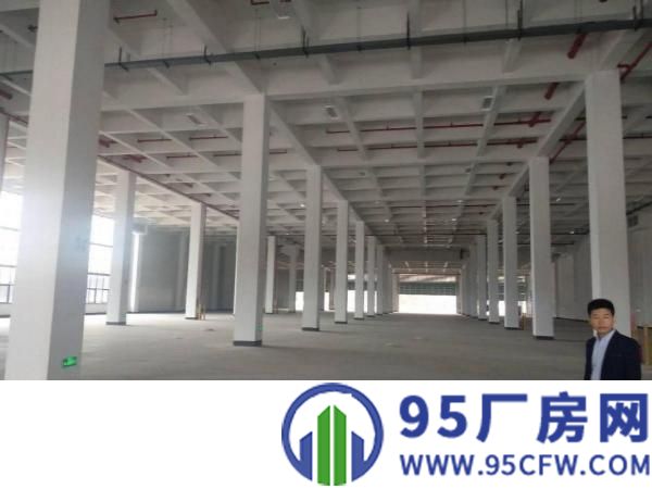 万江小型仓库厂房直租,水电齐全,现成装修
