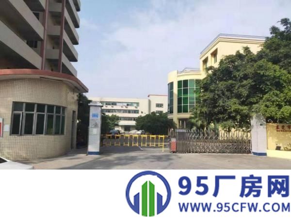 厚街宝屯新出标准独院厂房6800平可按需分租