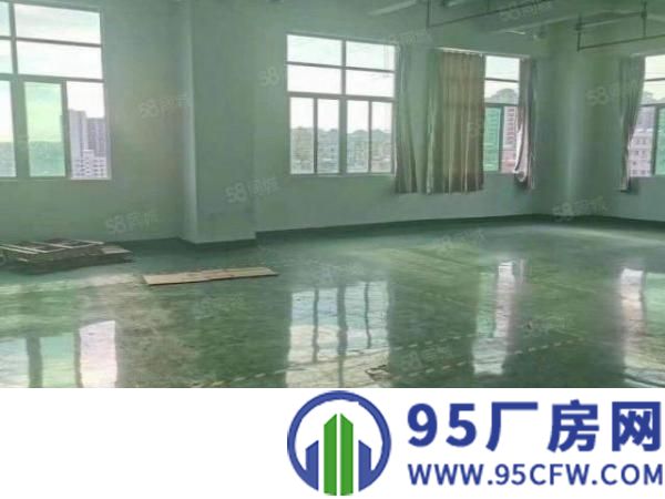 长安沙头600平厂房招租，水电齐全带装修
