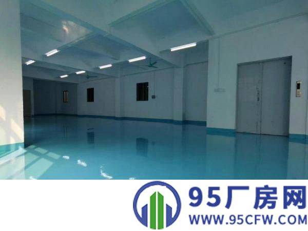 厚街新出全新装修现成厂房