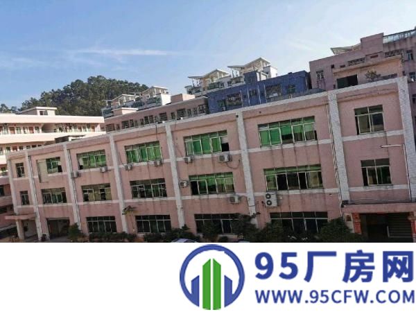 办公车间宿舍配套现成/直接入驻