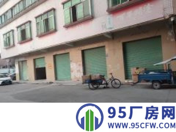 一楼厂房出租 车位充足 可做厂房 可以做门面 车位充足