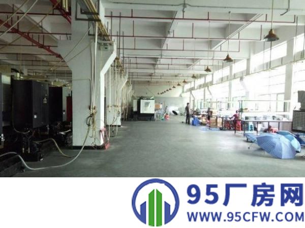 清溪谢坑工业区新出6米高一楼1100平方厂房出租