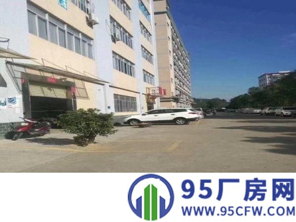 现房一一凤岗黄洞新出整层带装修1200平厂房出租